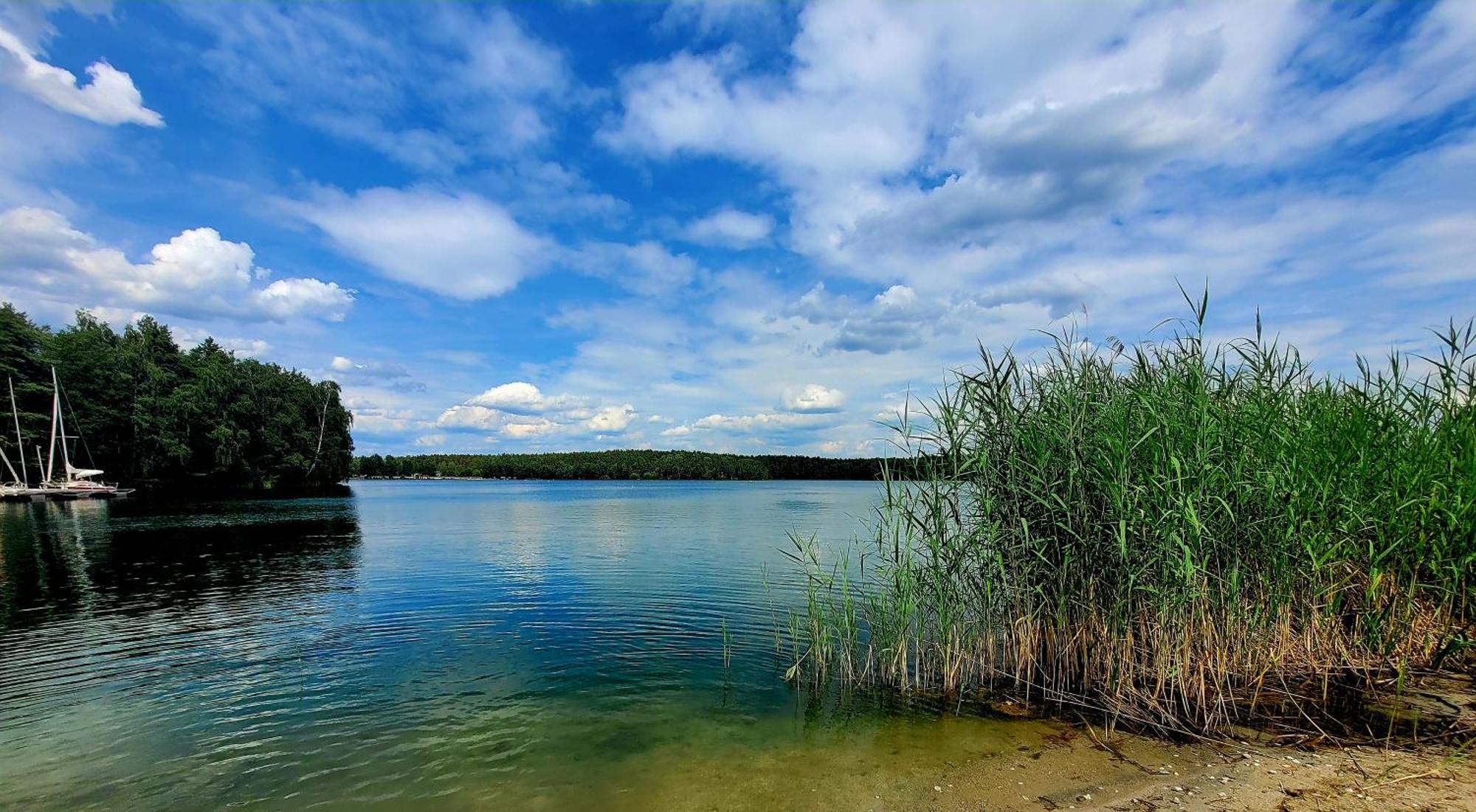 Ferienwohnung Seeglueck Im Oberpfaelzer Seenland Schwandorf in Bayern Dış mekan fotoğraf